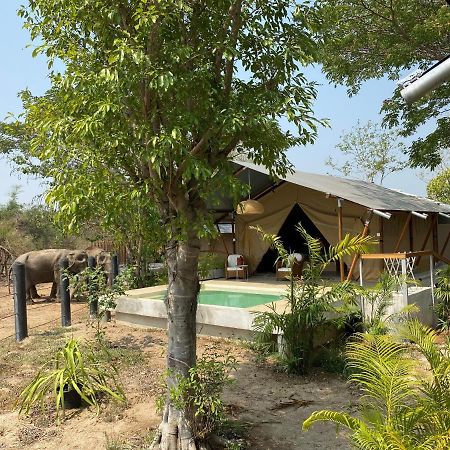 Elephant View Camp Ban Huai Thawai Dış mekan fotoğraf