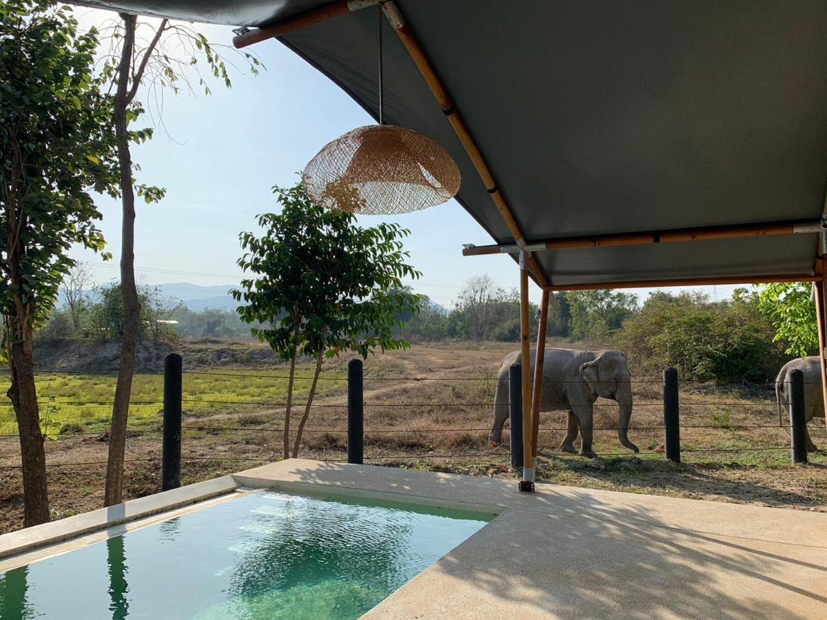 Elephant View Camp Ban Huai Thawai Dış mekan fotoğraf