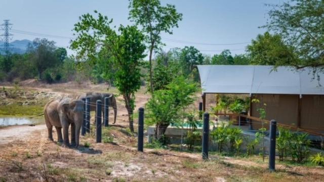 Elephant View Camp Ban Huai Thawai Dış mekan fotoğraf