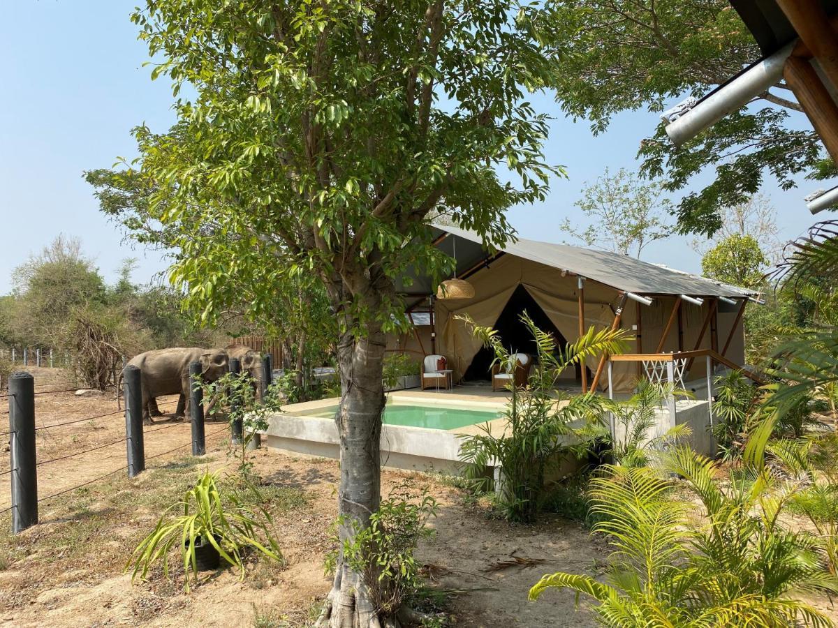 Elephant View Camp Ban Huai Thawai Dış mekan fotoğraf