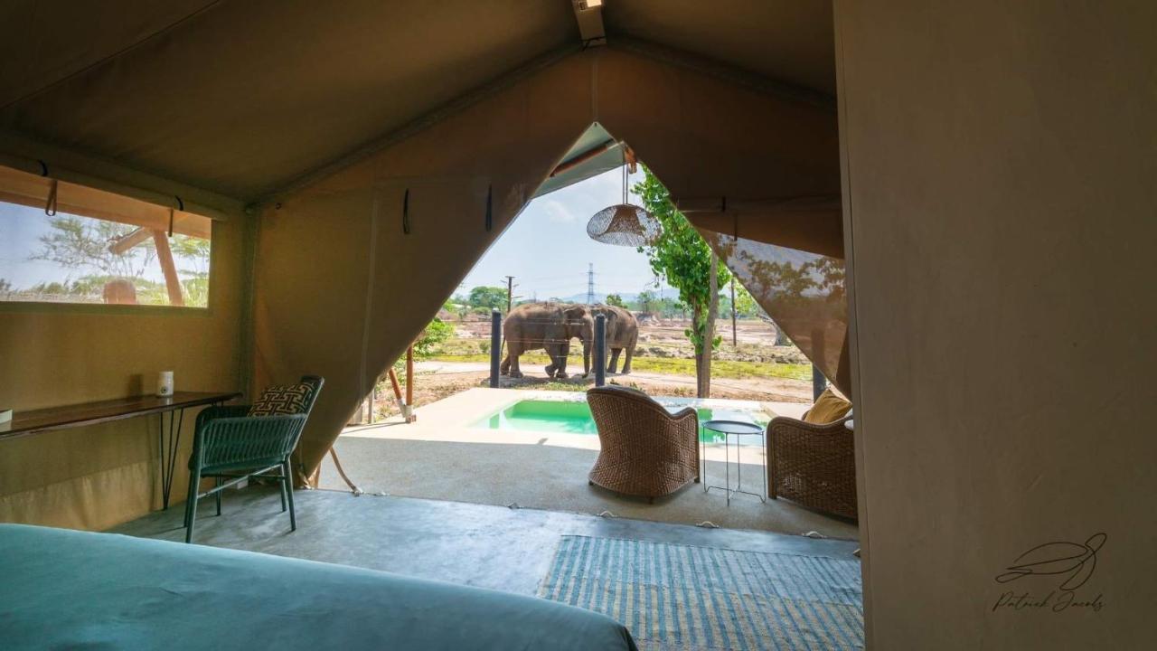 Elephant View Camp Ban Huai Thawai Dış mekan fotoğraf